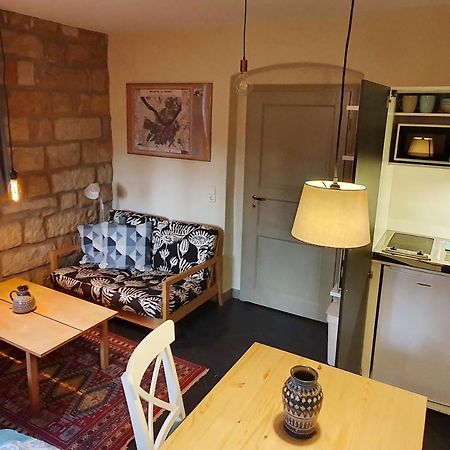 Villa Haniel Apartment Leo Drezno Zewnętrze zdjęcie