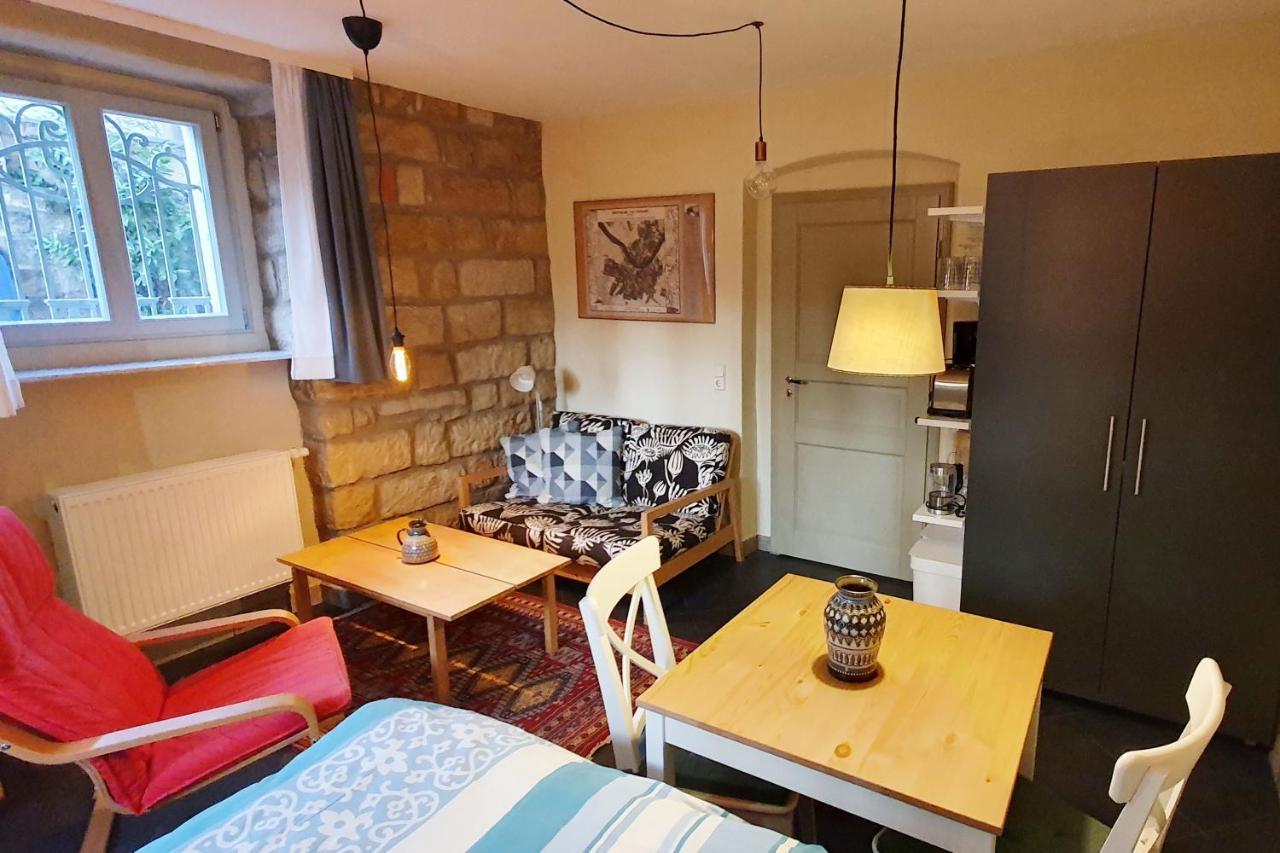 Villa Haniel Apartment Leo Drezno Zewnętrze zdjęcie