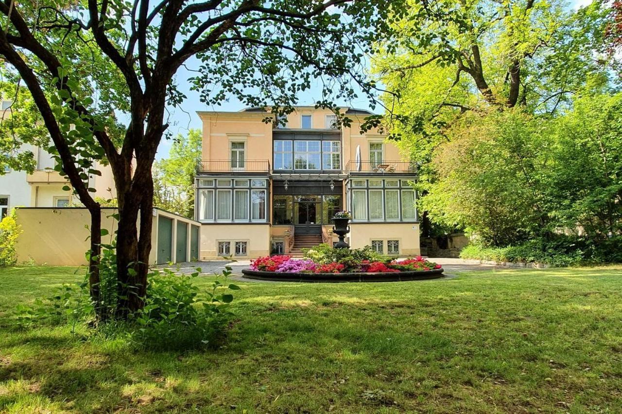 Villa Haniel Apartment Leo Drezno Zewnętrze zdjęcie